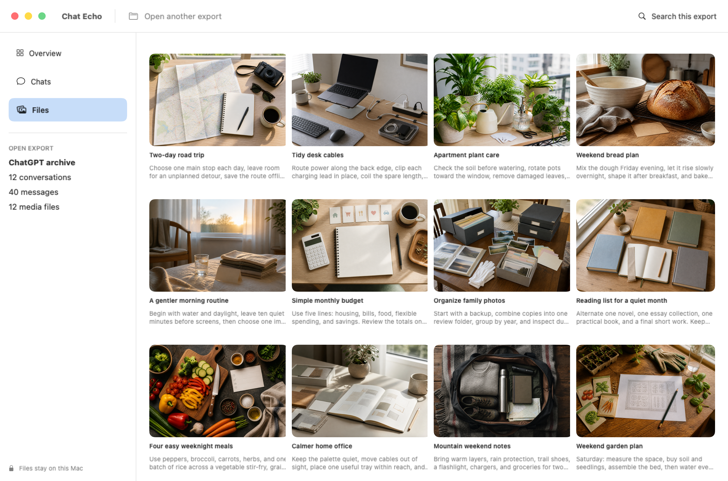 Chat Echo showing a fictional media gallery